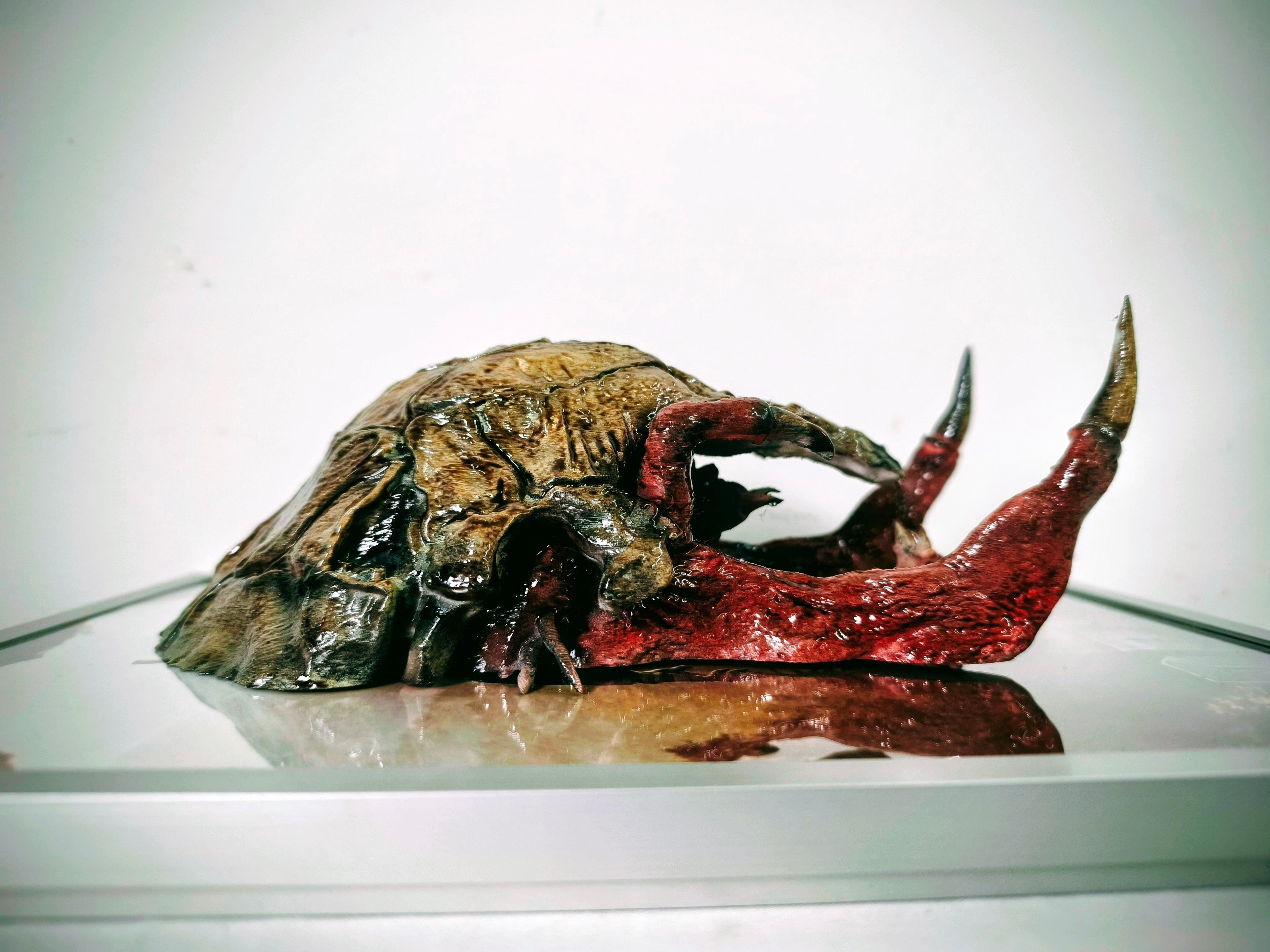 Nightmares in Frame - Prey Predator - Dettaglio immagine 4